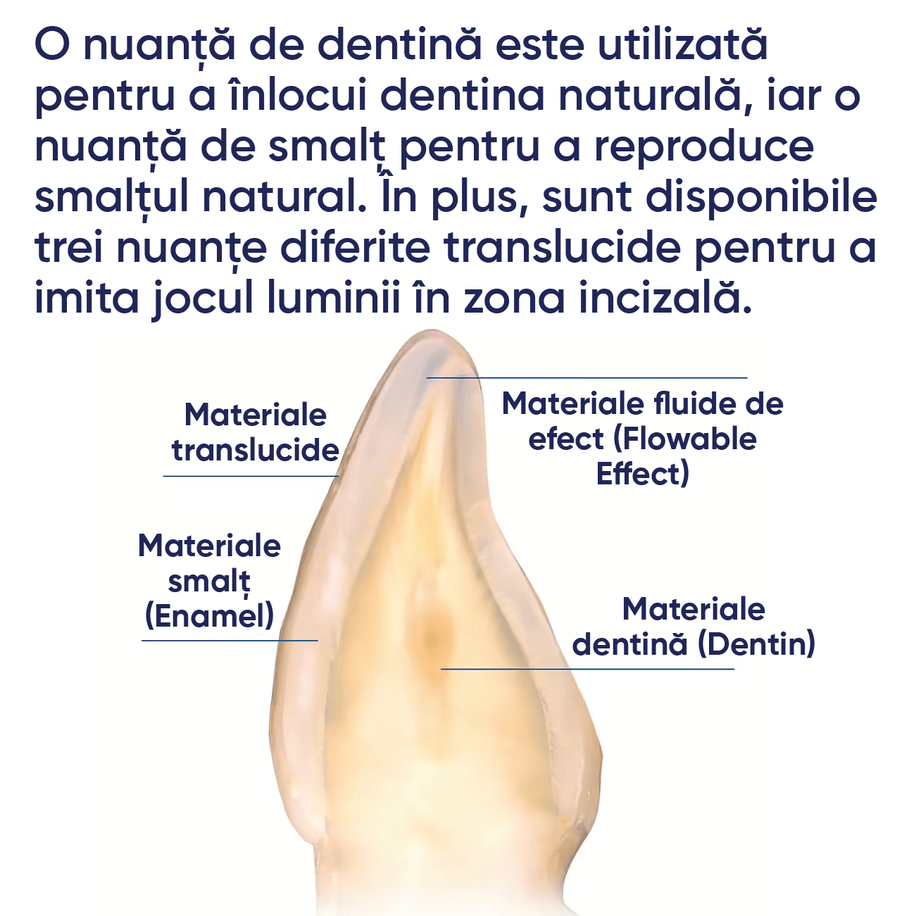 exemplificarea utilizarii materialului de umplere din compozit fotopolimerizabil IPS empress direct
