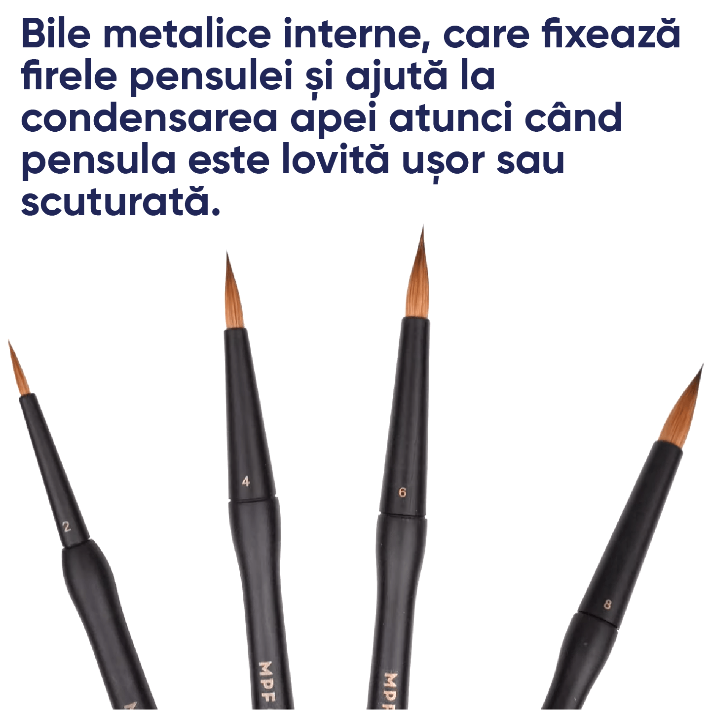 informatii despre constructia pensulelor clasice MPF brush pentru retentia apei