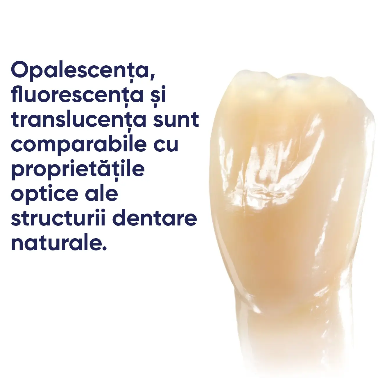 informatii despre gama de produse SR nexco paste si o lucrare langa