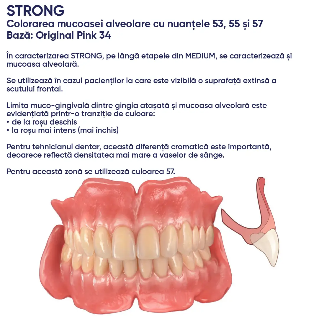 indicatii privind individualizarea si utilizarea acrilatului candulor pentru o proteza sau o restaurare cu acrilat