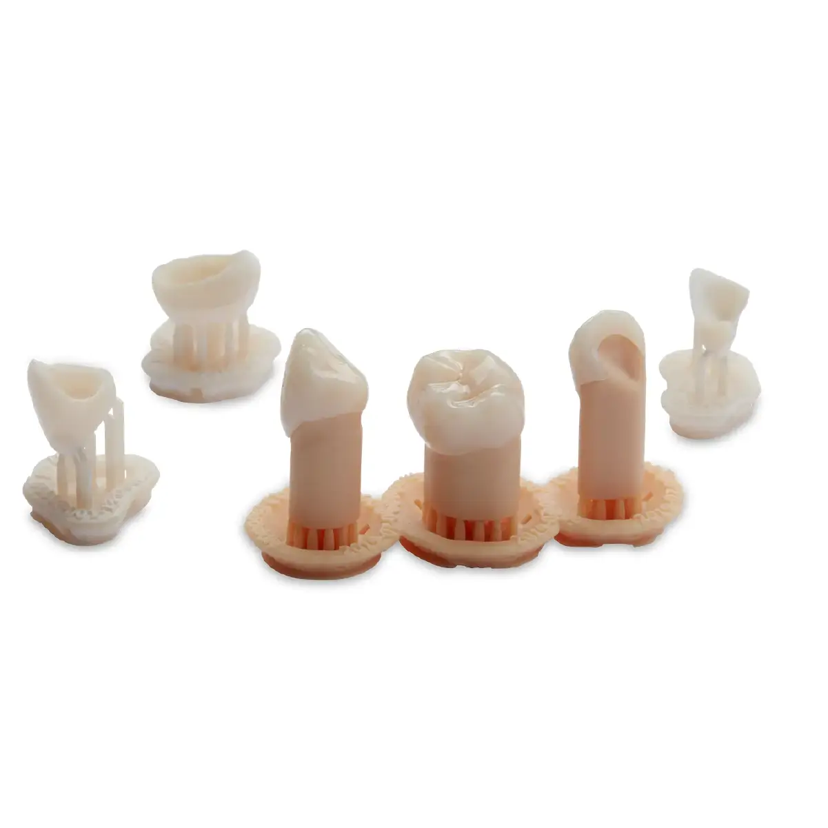 exemplu de coroane printate 3D cu rasina permanent crown