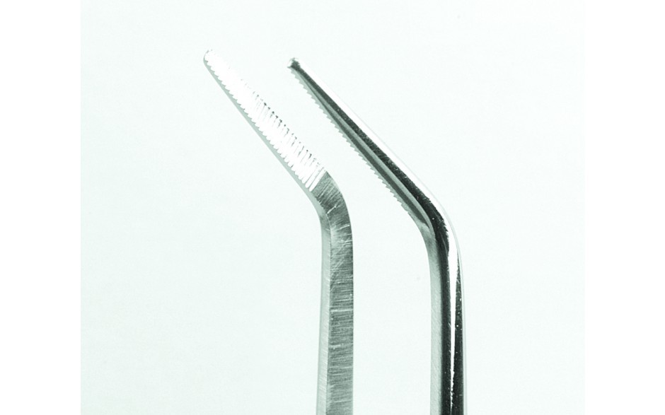 Penseta M+W Dental