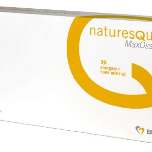 NaturesQue MaxOss P 0.25-1.0 mm seringa bego implants