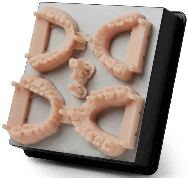 modele imprimata 3D cu rasina dental model