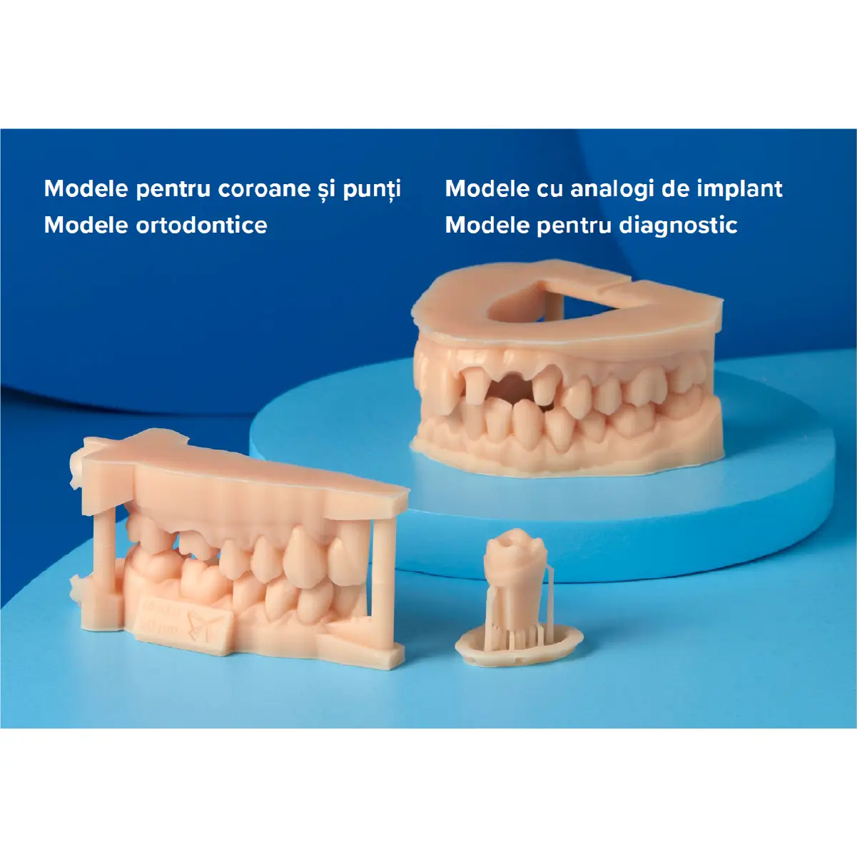 exemplu de lucrari ce pot fi realizate cu rasina pentru printarea 3D dental model v3 formlabs