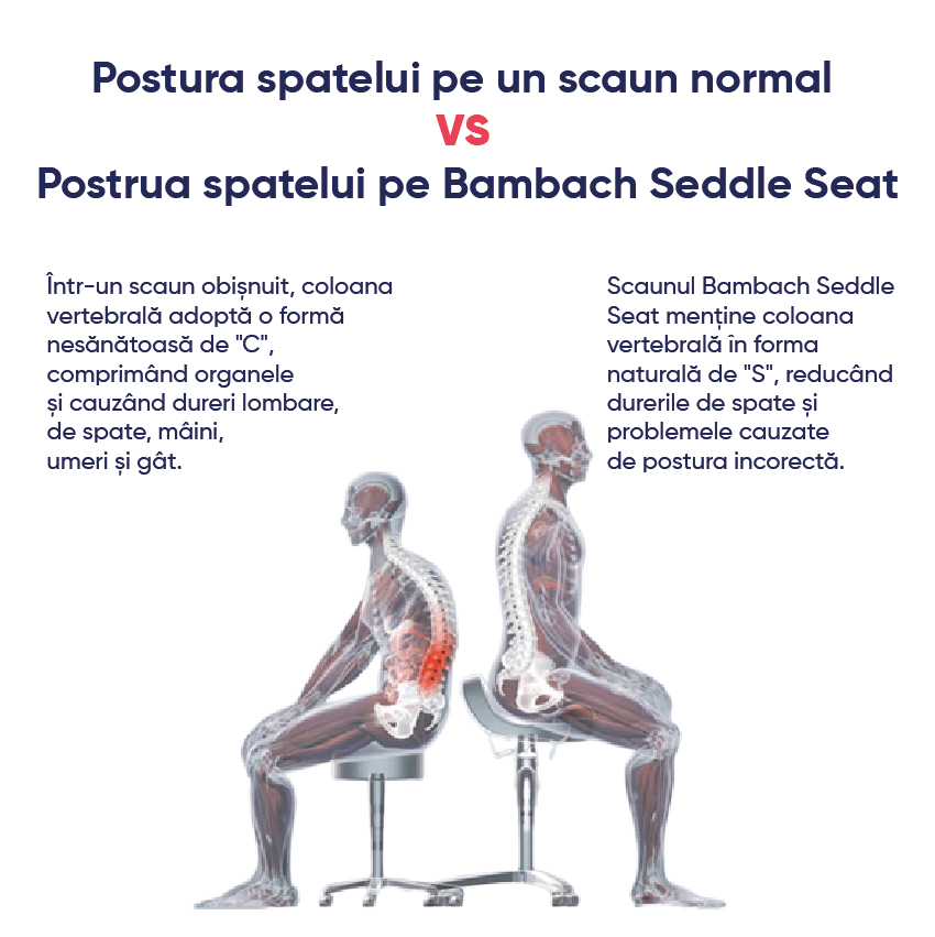proprietati scaun ergonomic
