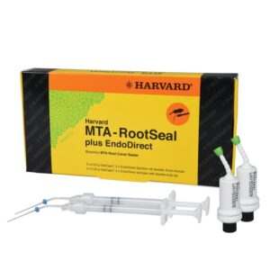 canal sealer MTA rootseal