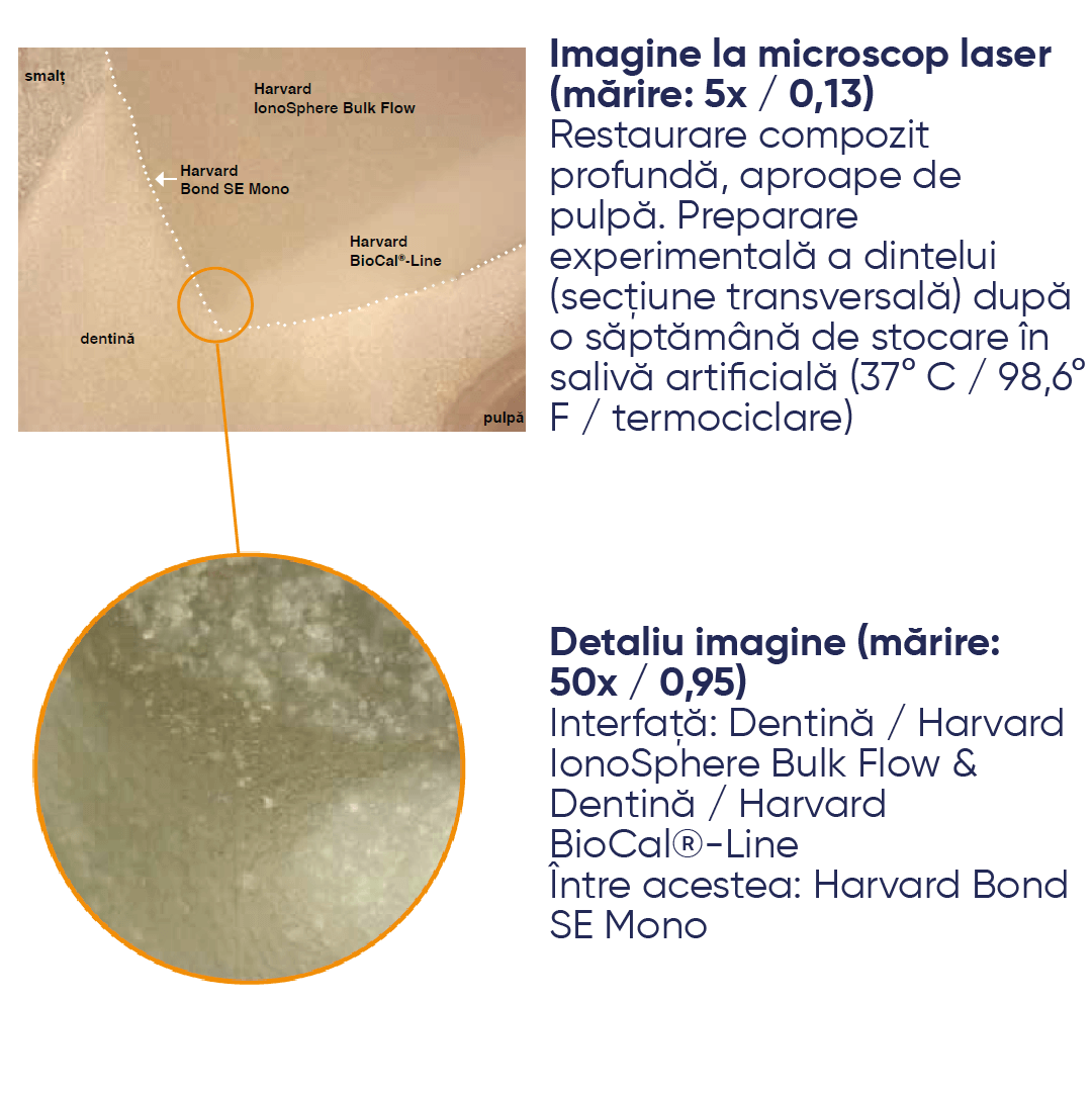 liner biocal - line informatii de siguranta