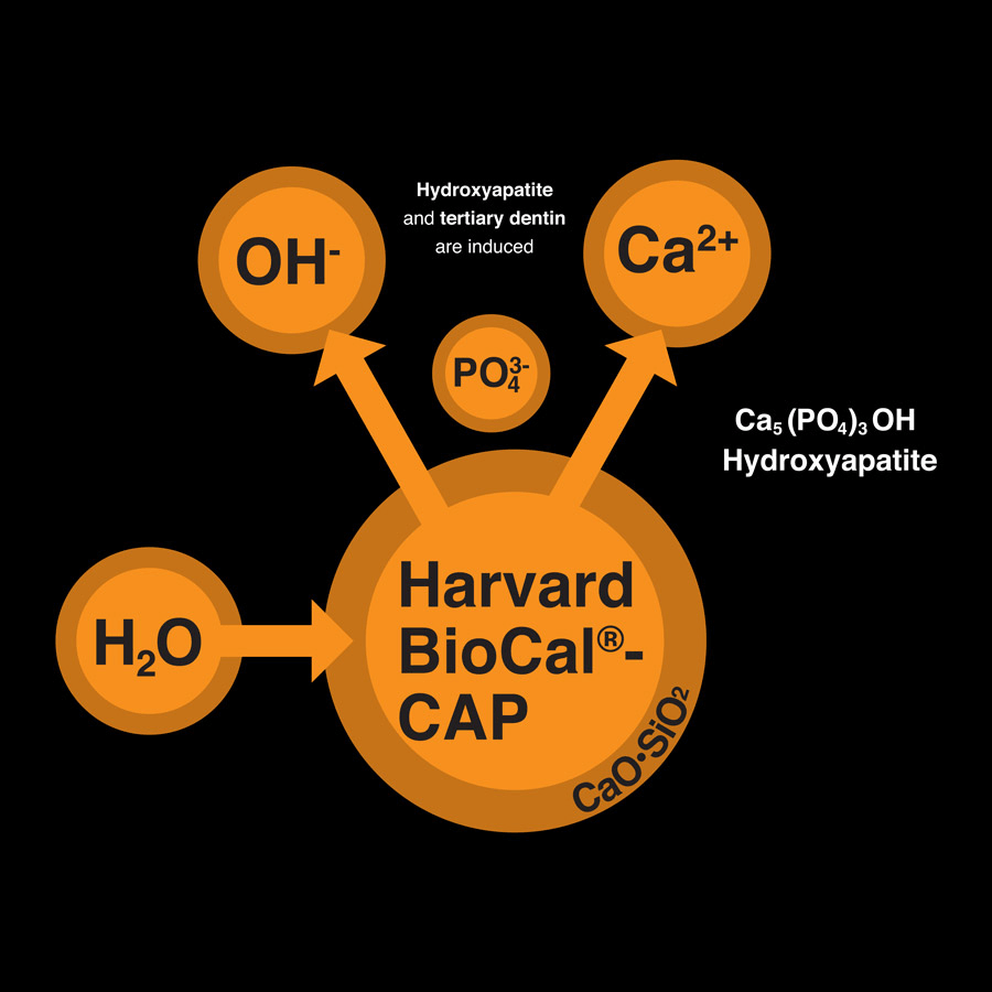 ciment endodontic biocap cap. reactie chimica