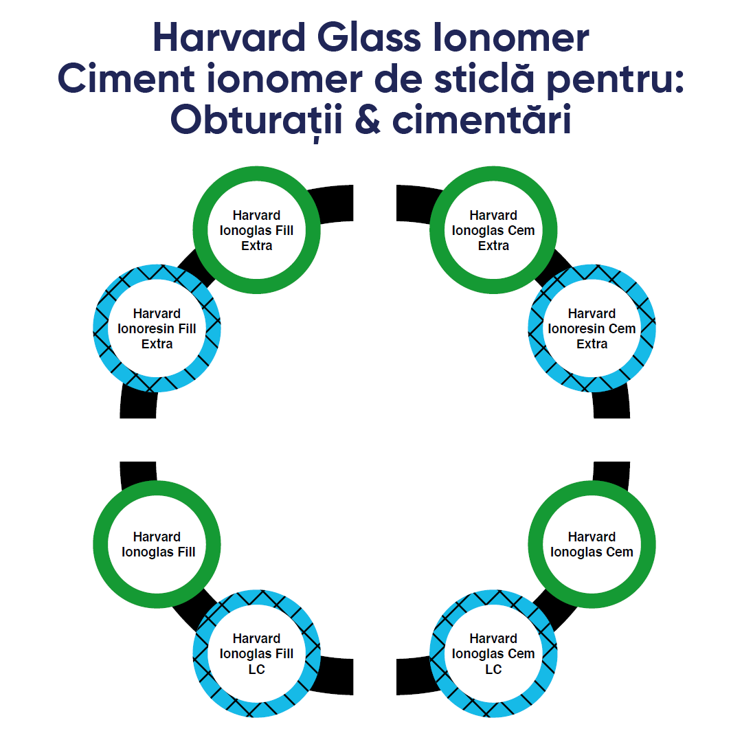 impartirea ionomerilor din gama harvard