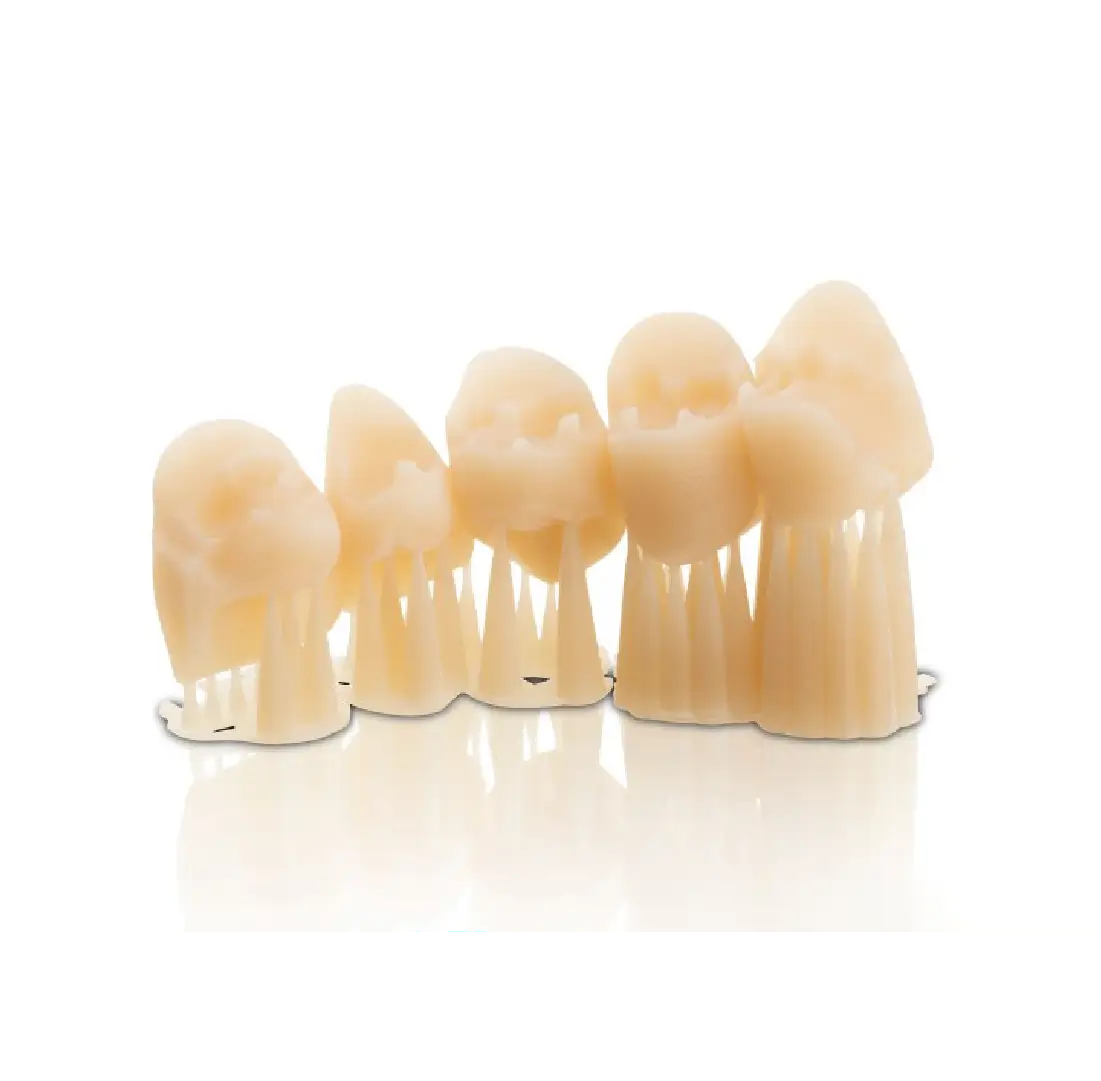 dinti printat 3D cu rasina VarseoSmile bego