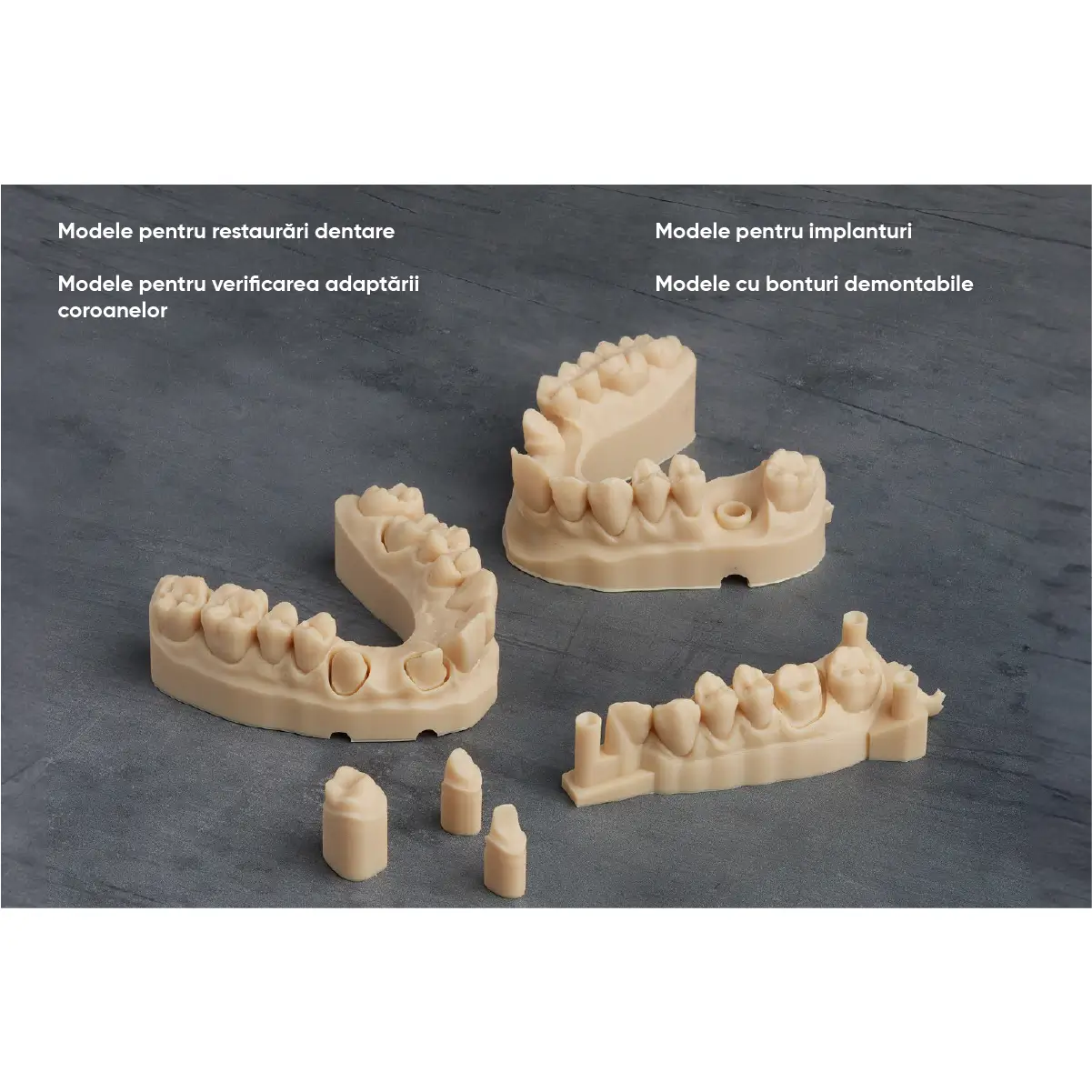 exemplu de lucrari, cu ilustratie, ce pot sa fie printate 3D cu rasina precision model