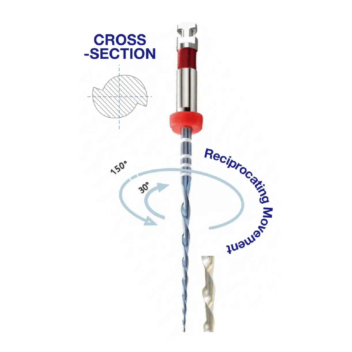 sectiune transversala pentru acele rotative reciproc e05 niti one cu detalii
