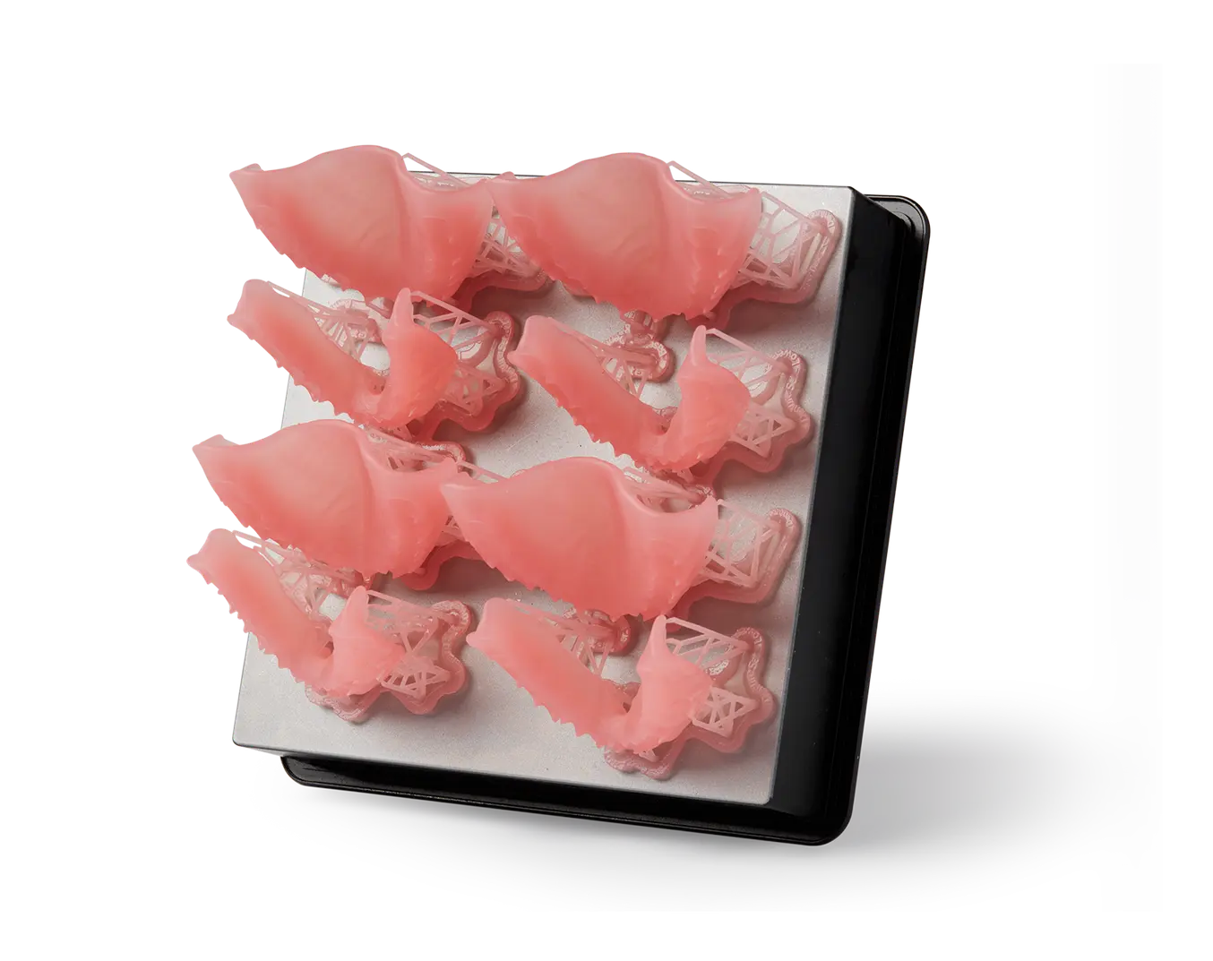 denture base Form