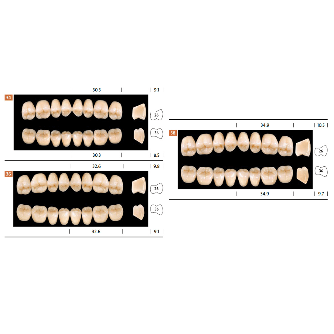 Condyloform forme dinti galerie