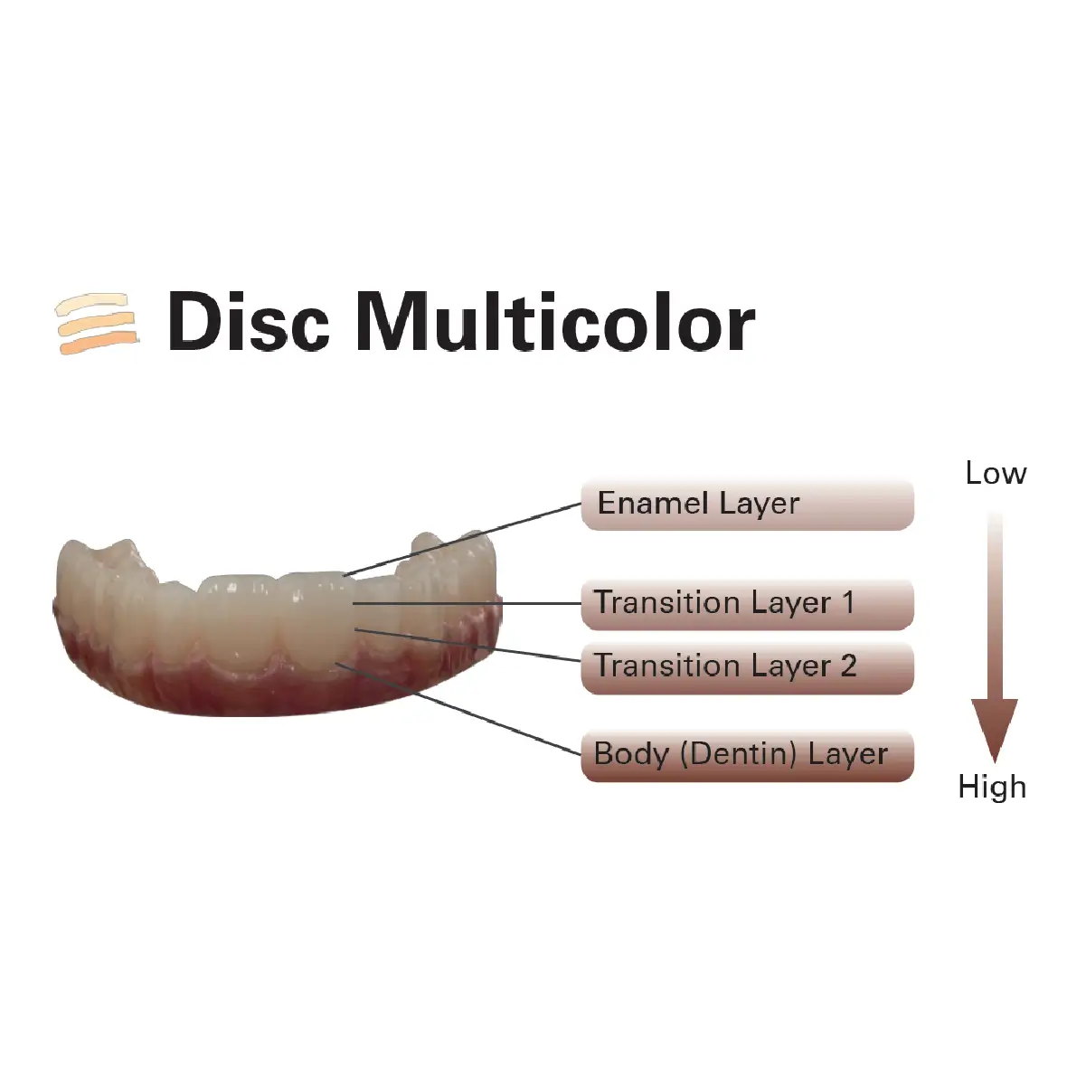 ilustrarea stratificarii discului de ceramica ambarino