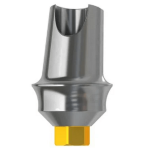 solit abutment din titan